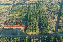Undeveloped Land for sale in Oceana County, Michigan