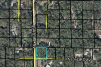 Land for sale in Dixie County, Florida