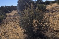 Land for sale in Navajo County, Arizona