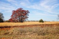 Homesite for sale in Logan County, Oklahoma