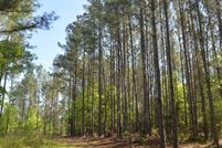 Land for sale in Chester County, South Carolina