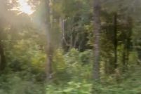 Land for sale in Marion County, Florida