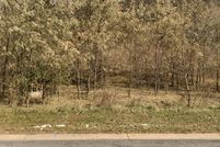 Land in Winona County, Minnesota