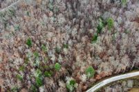 Undeveloped Land for sale in Scott County, Tennessee