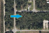 Undeveloped Land in Marion County, Florida