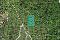 Land for sale in Polk County, Florida