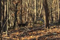 Recreational Property for sale in Grant County, West Virginia