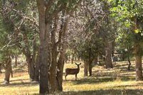 Land for sale in Kern County, California