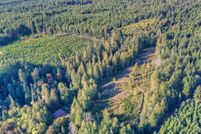 Undeveloped Land in Mason County, Washington