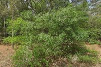 Land for sale in Putnam County, Florida