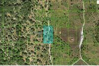 Undeveloped Land for sale in Polk County, Florida