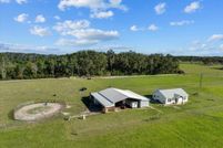 Undeveloped Land for sale in Levy County, Florida