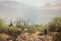 Farm and Ranch for sale in Maricopa County, Arizona