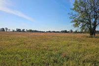 Undeveloped Land for sale in Titus County, Texas