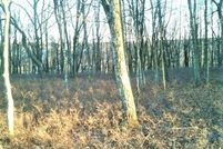 Undeveloped Land in Luzerne County, Pennsylvania