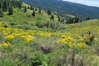 Land in Adams County, Idaho