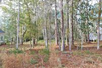 Undeveloped Land in Georgetown County, South Carolina