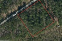 Undeveloped Land for sale in Pender County, North Carolina