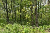 Land for sale in Dawson County, Georgia