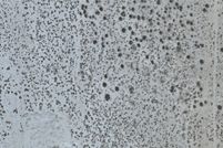 Land for sale in Los Angeles County, California