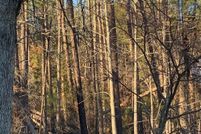 Land for sale in Edgefield County, South Carolina