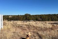 Land for sale in Navajo County, Arizona