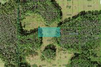 Undeveloped Land for sale in Polk County, Florida