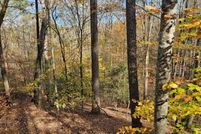 Land for sale in Gilmer County, Georgia