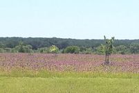 Farm and Ranch for sale in Medina County, Texas