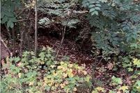 Homesite for sale in Cherokee County, Georgia