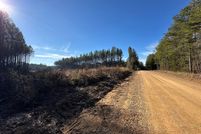 Land for sale in Attala County, Mississippi