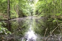 Land for sale in Clarendon County, South Carolina