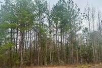 Land for sale in Jasper County, Mississippi