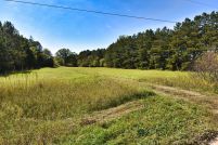 Homesite in Wadena County, Minnesota