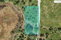 Undeveloped Land for sale in Polk County, Florida