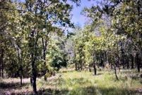 Land for sale in Levy County, Florida