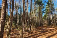 Undeveloped Land for sale in Isle of Wight County, Virginia