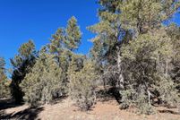 Land for sale in Apache County, Arizona