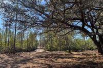 Land for sale in Marion County, Florida