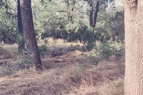 Undeveloped Land for sale in Parker County, Texas