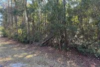 Undeveloped Land for sale in McIntosh County, Georgia