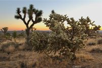 Timberland Property for sale in San Bernardino County, California