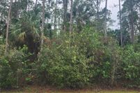 Land for sale in Collier County, Florida