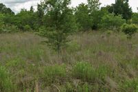 Land for sale in Marion County, Florida