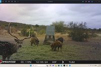 Timberland Property in Real County, Texas