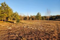 Undeveloped Land for sale in Levy County, Florida