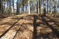 Undeveloped Land for sale in Pickens County, South Carolina