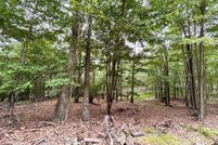 Undeveloped Land for sale in Hardy County, West Virginia