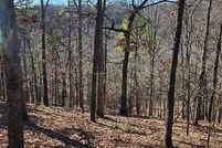 Undeveloped Land for sale in Delaware County, Oklahoma