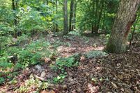 Land for sale in Brunswick County, Virginia